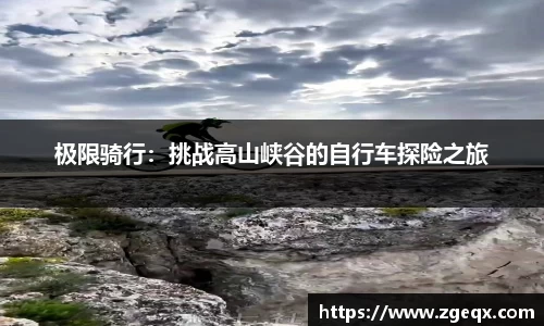 哈哈体育官方网站